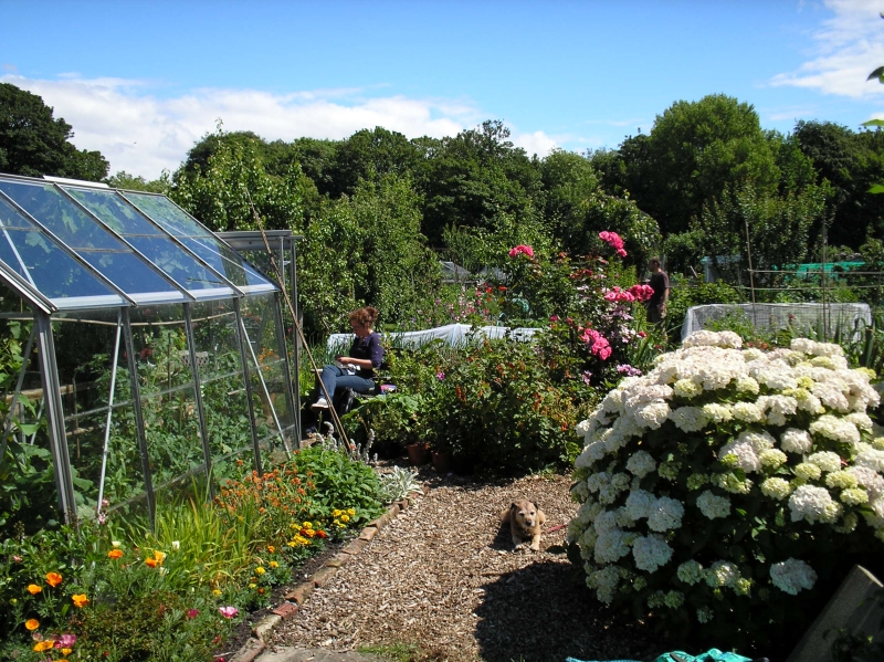Sefton Park Allotments